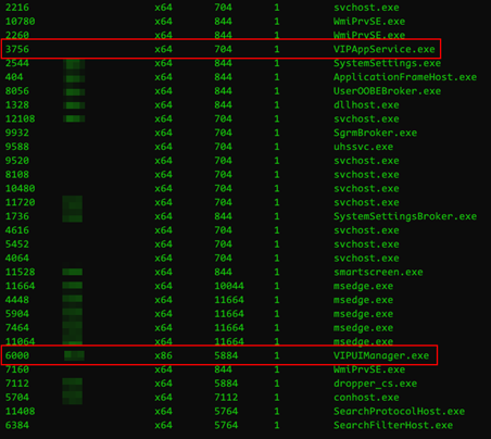 Process explorer listing active processes, highlighting 'VIPUI.exe' and 'VIPAppService.exe' associated with VIP Access.